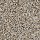 Mohawk Carpet: Color Fusion I Colonial Ash